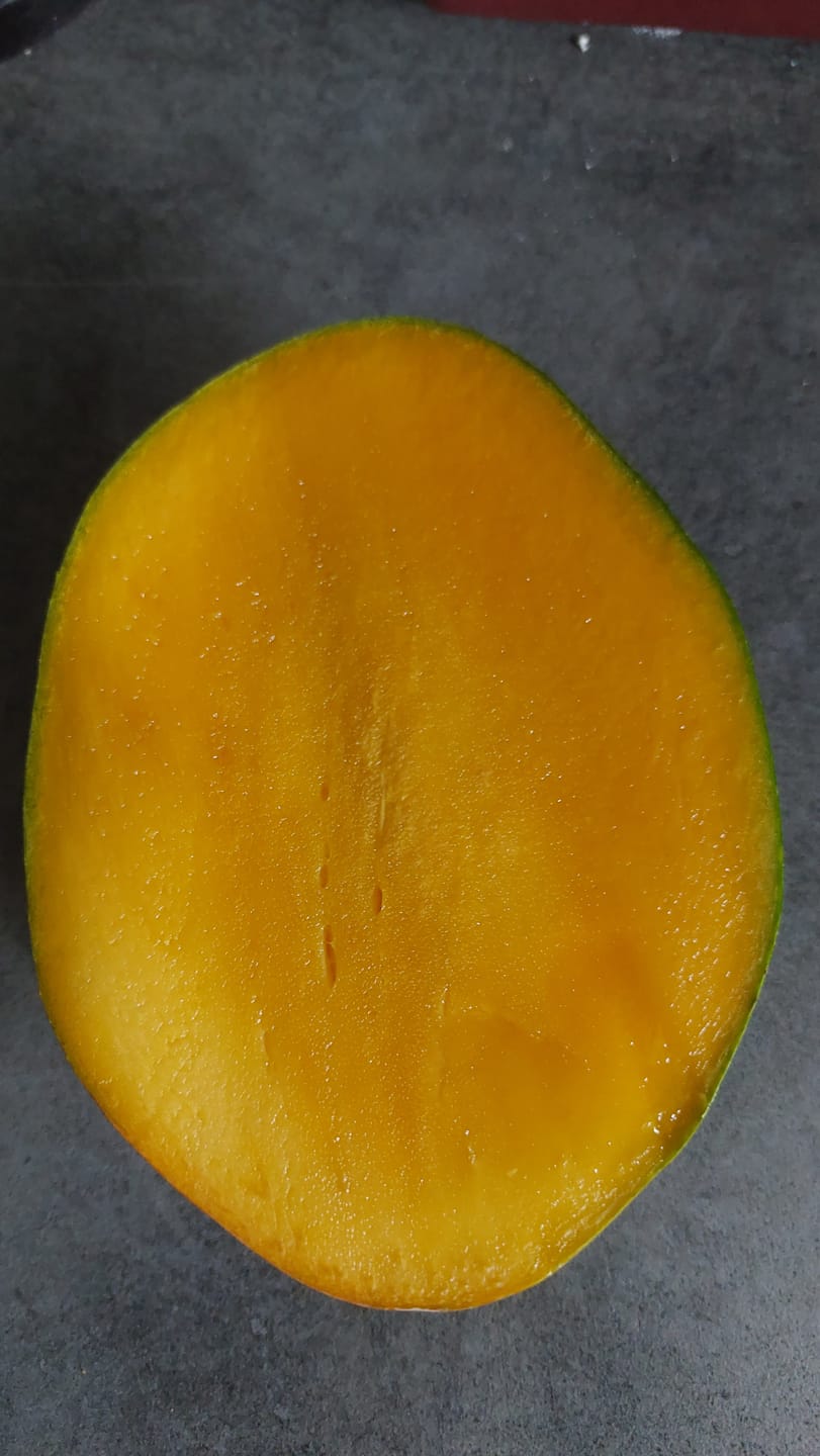 Customer photo review of Mango Keitt Bio von Juan 4kg Box Aktionswoche %