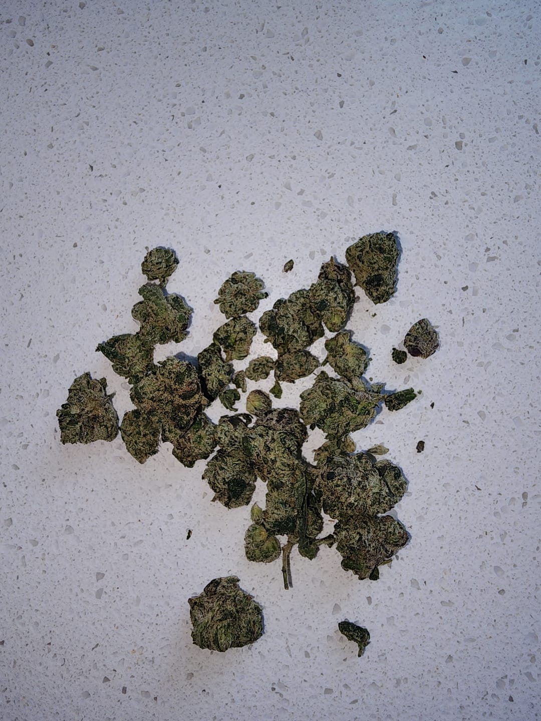 Customer photo review of Georgia Pie THCA Flower (Exotic)