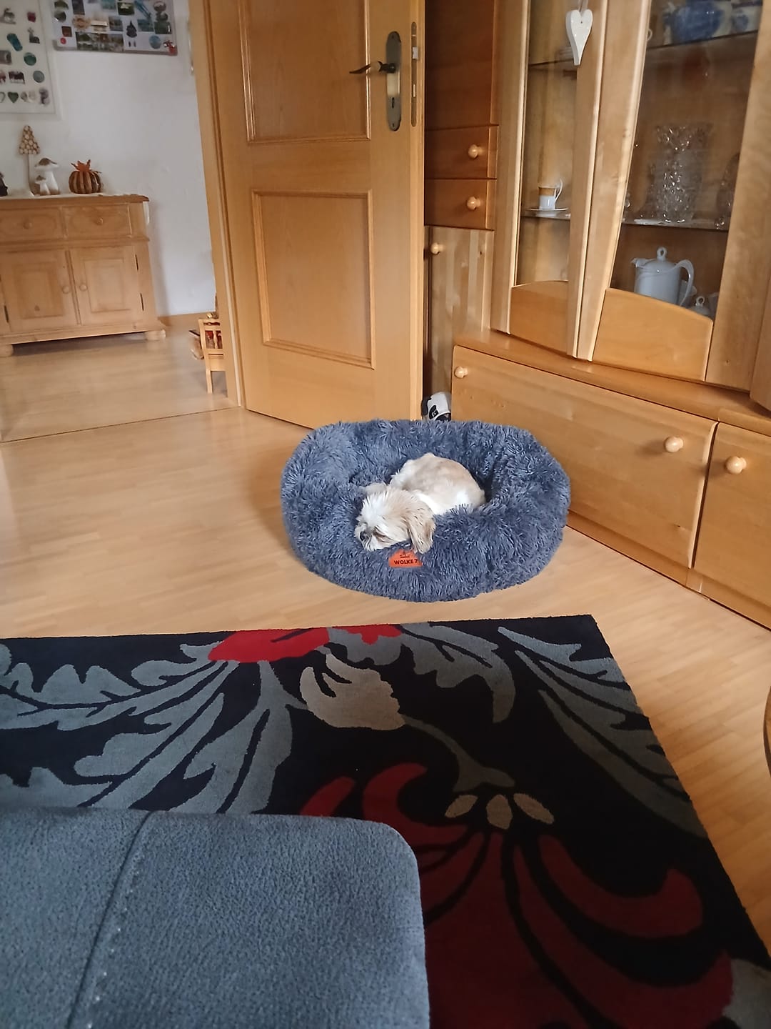 Customer photo review of Puppery Hundebett Wolke 7 - Das Original