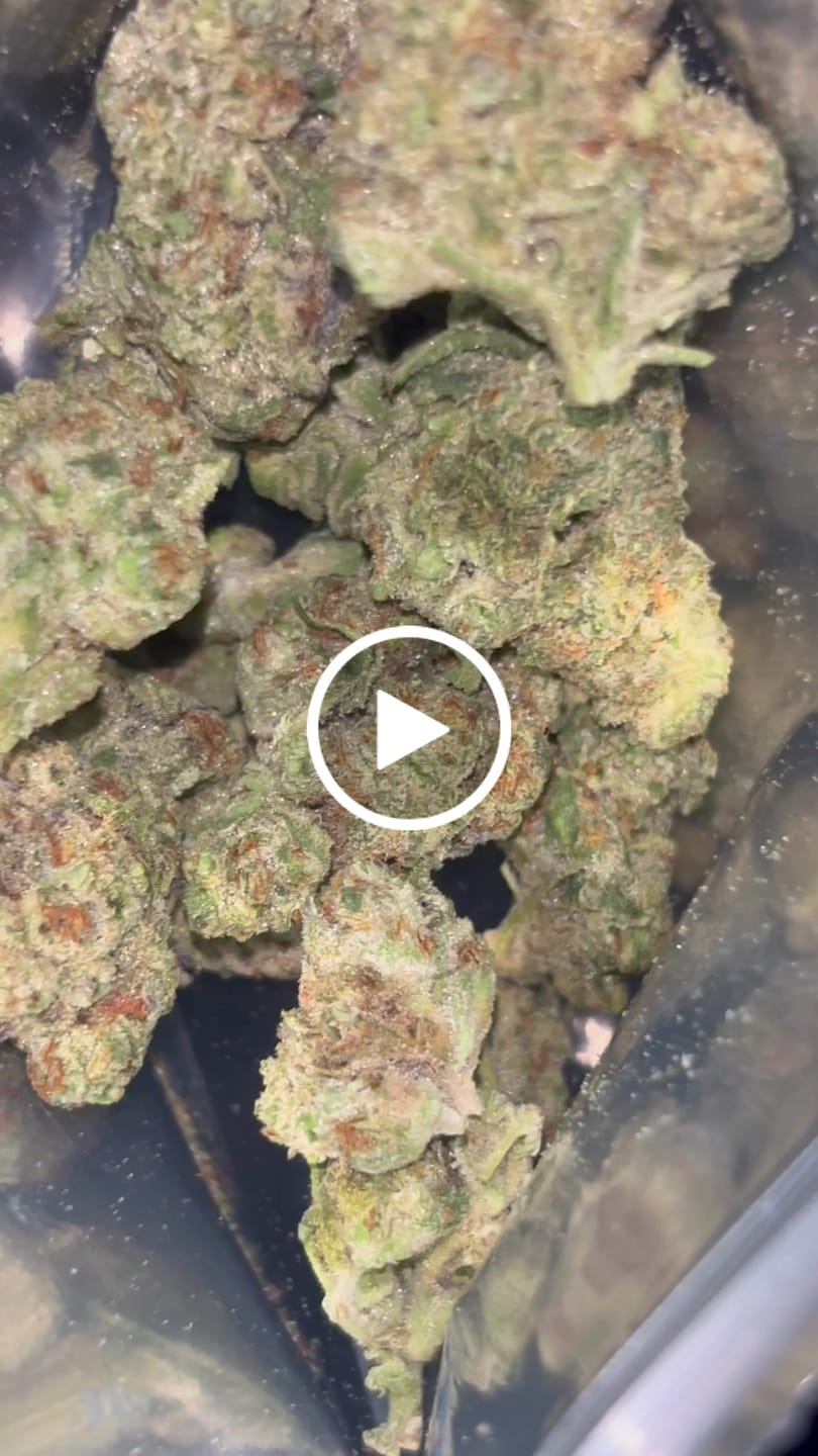 Customer video review of Jack Skellington THCA Flower