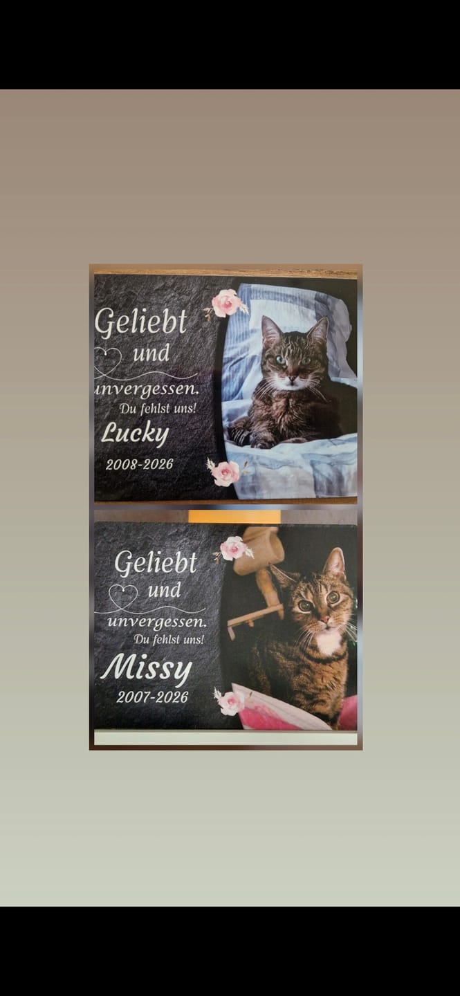 Customer photo review of Katzen Gedenktafel mit Foto & Spruch (UV- & Wetterfest)