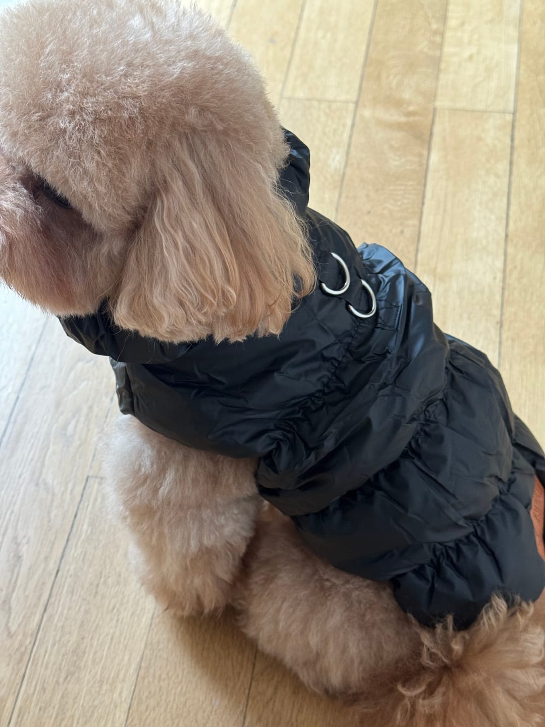 Customer photo review of Sweet Bomber
