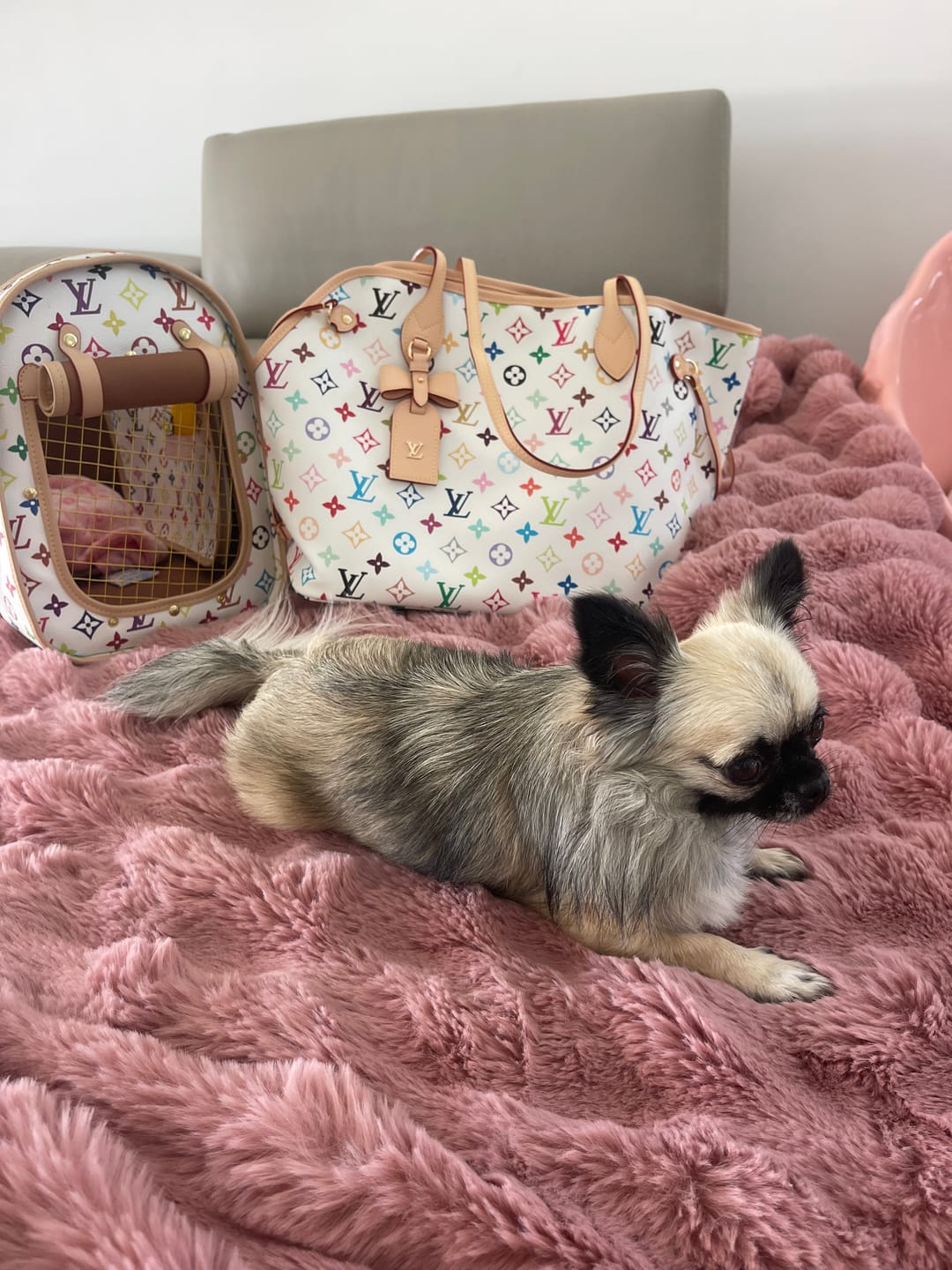 Customer photo review of Moon Bag