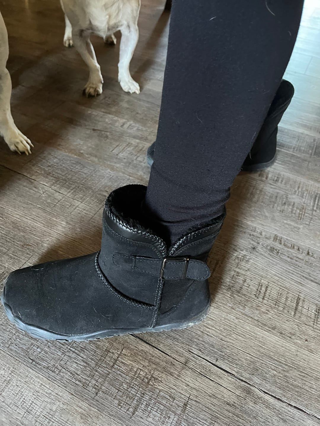 Customer photo review of CloudHug (2+1)