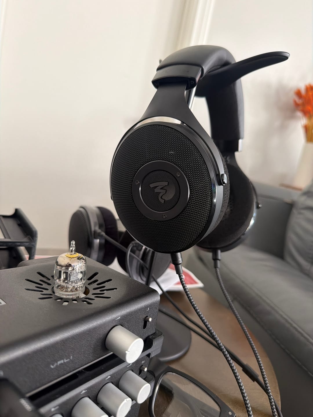 Customer photo review of Focal Elex Headphones - B Stock