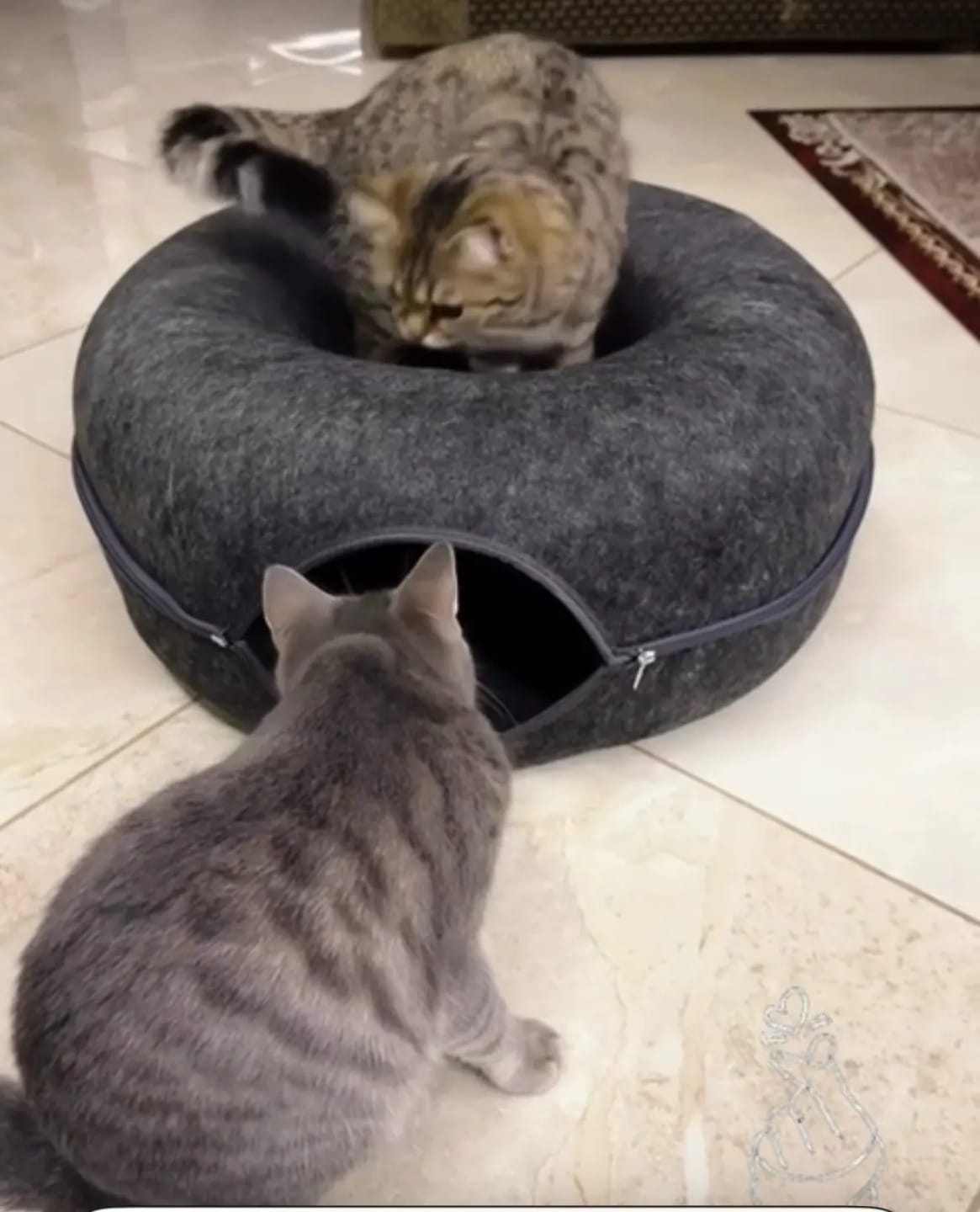 Customer photo review of The Cat Hideout Bed They'll Actually Use