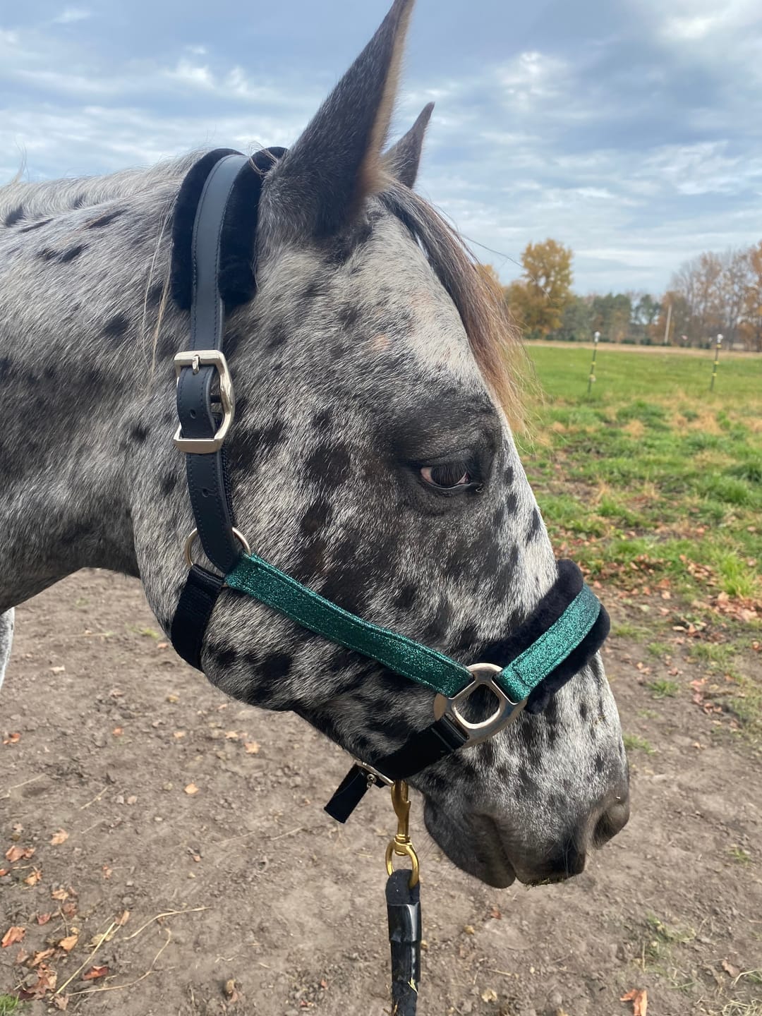 Customer photo review of NEW Holiday Colors! Fantasia's Sparkle Halter