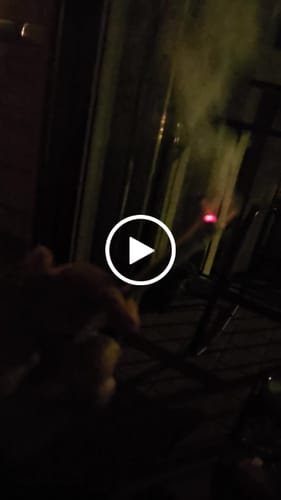 Customer video review of THC-A Pre-Roll Cali Blend |2g|