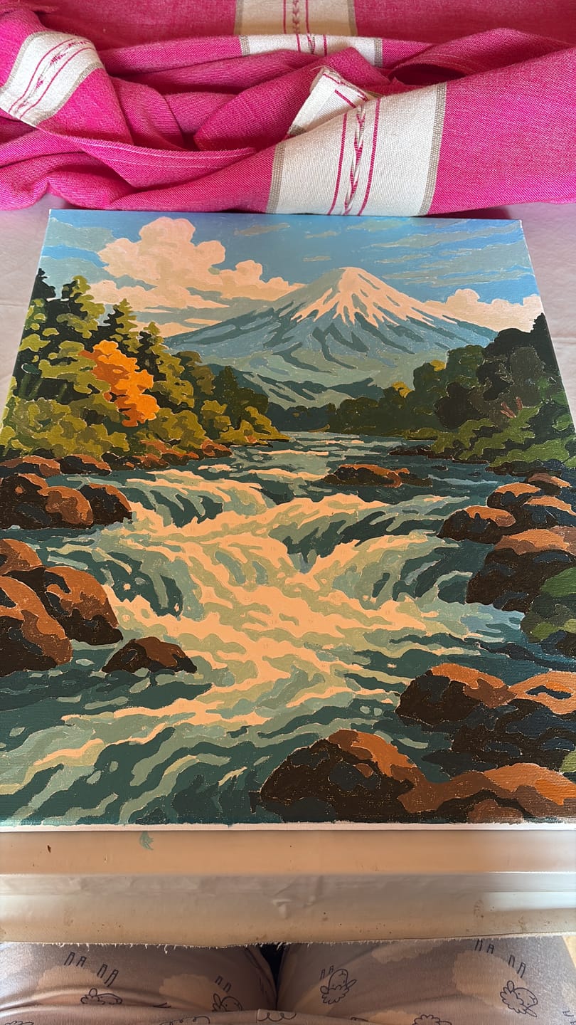 Customer photo review of Entre el Trancura y el Volcán Osorno (Pintura por Números) 40x50 cm