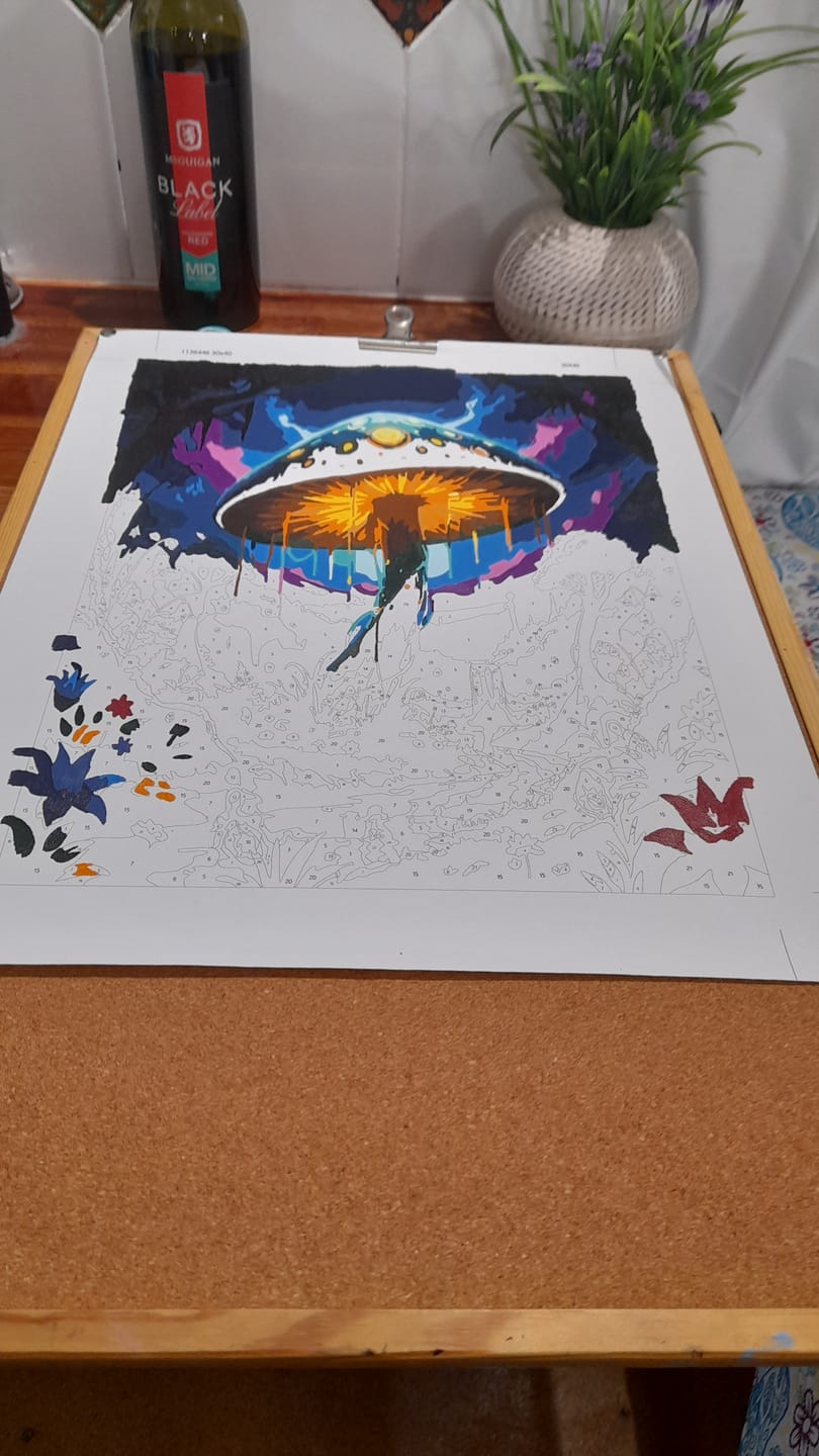 Customer photo review of Glow Mushroom, Waterfall Night (Paint by Numbers)