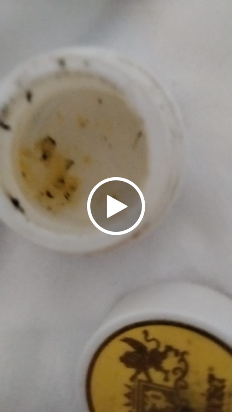 Customer video review of Pina Coooolada Honey Crystal 2G (Buy 1 Get 1)