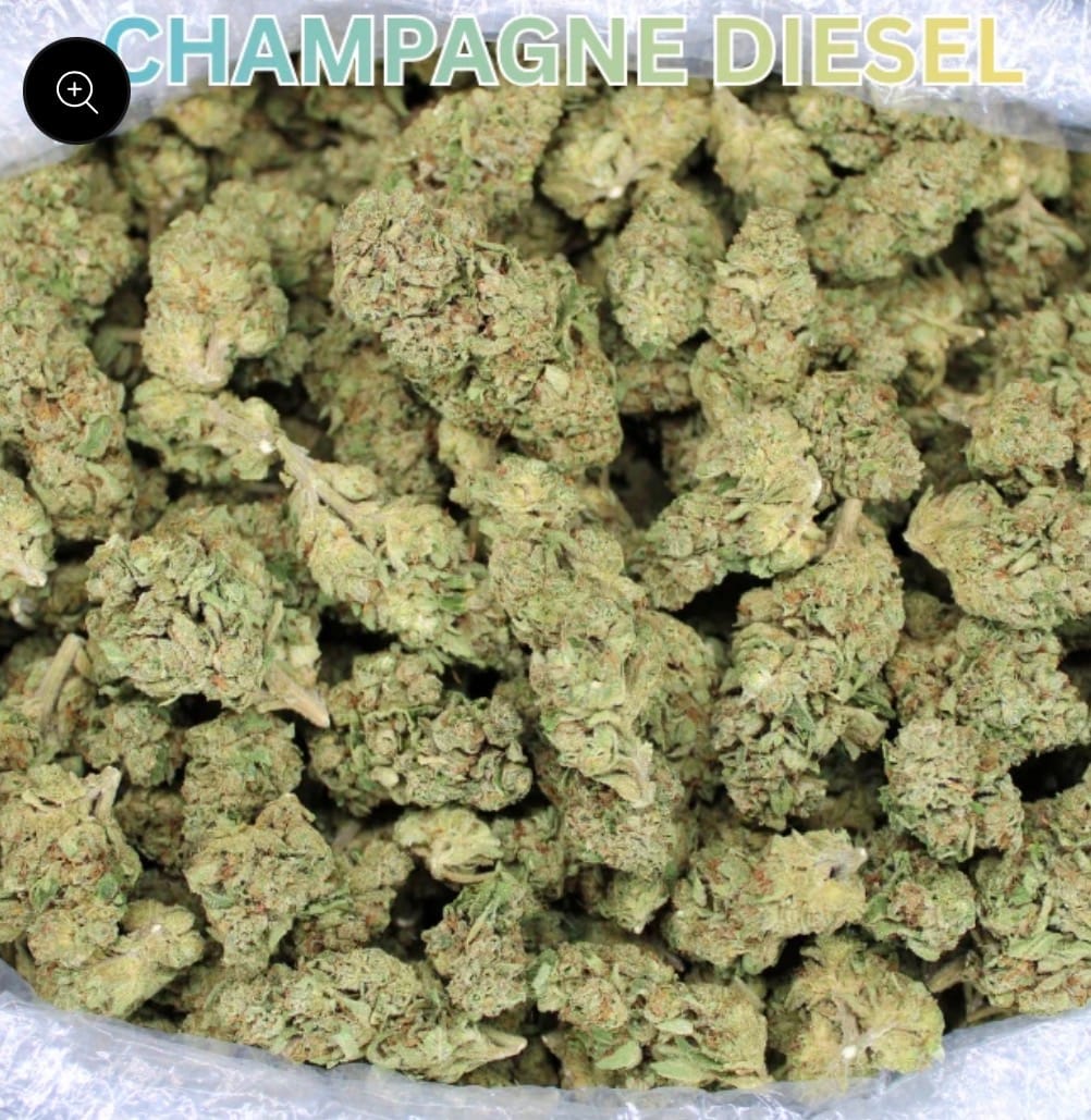 Customer photo review of Cheap THCA Flower Ounce