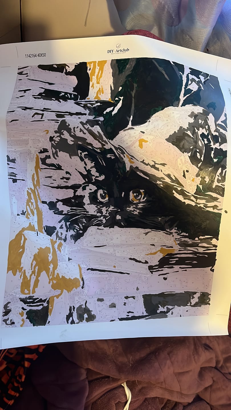 Customer photo review of Spells keeper | Paint by Number