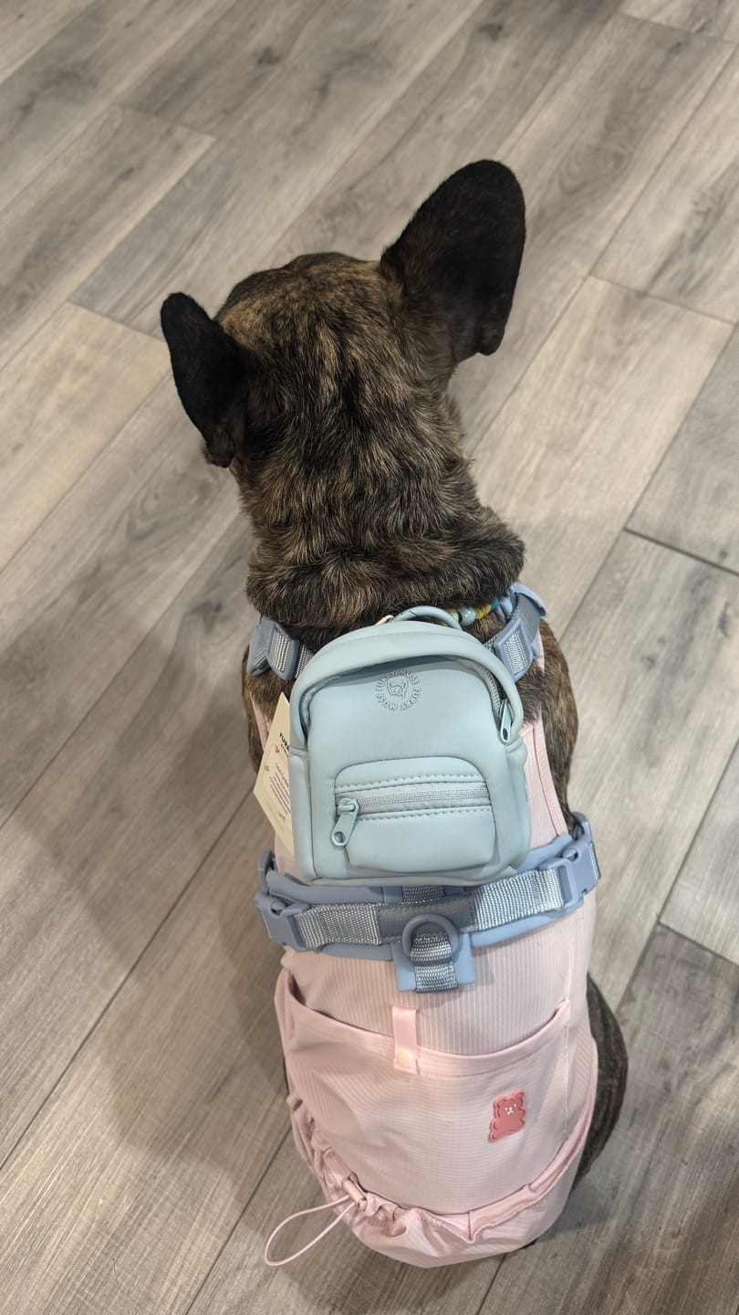 Customer photo review of Align Harness Backpack Kit - Sky