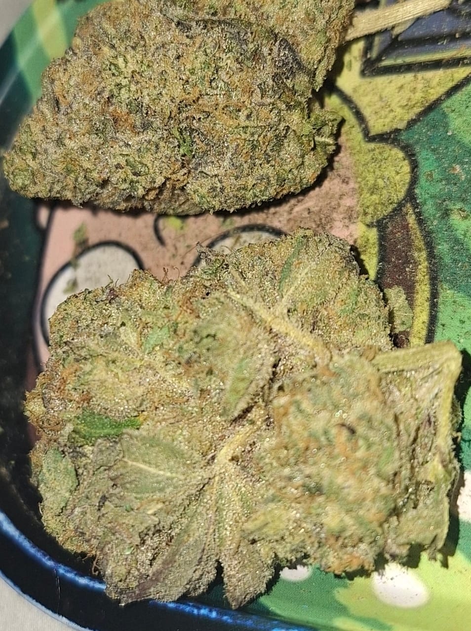 Customer photo review of Biscotti THCA Flower (Premium)