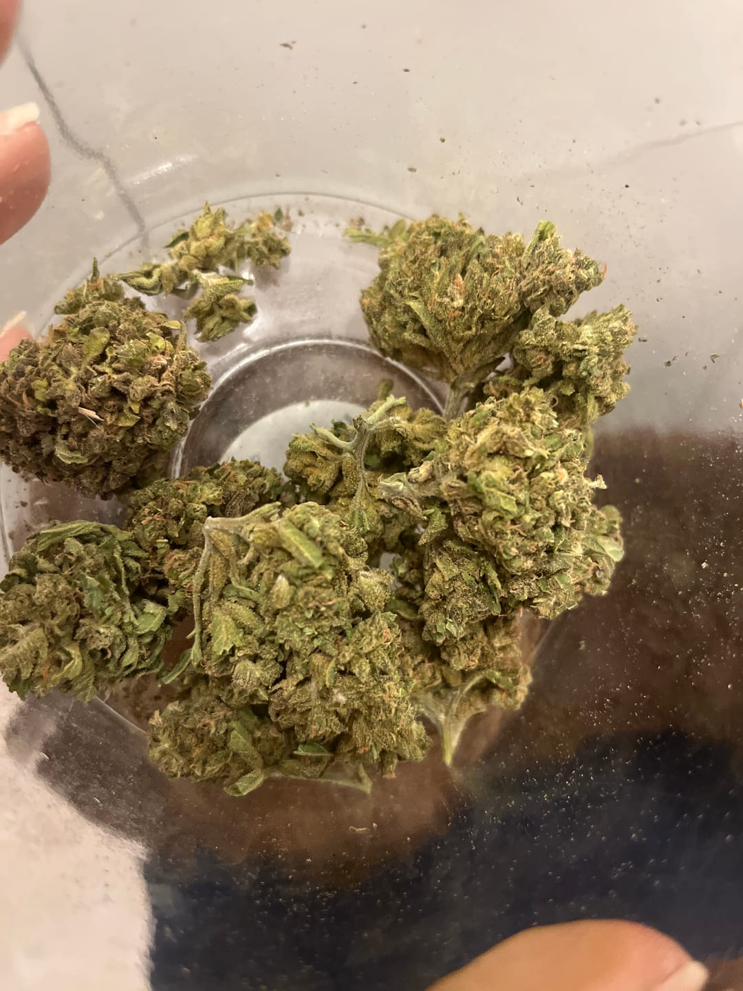 Customer photo review of Puffaroo - Blueberry Headband - 28 Grams - Hybrid