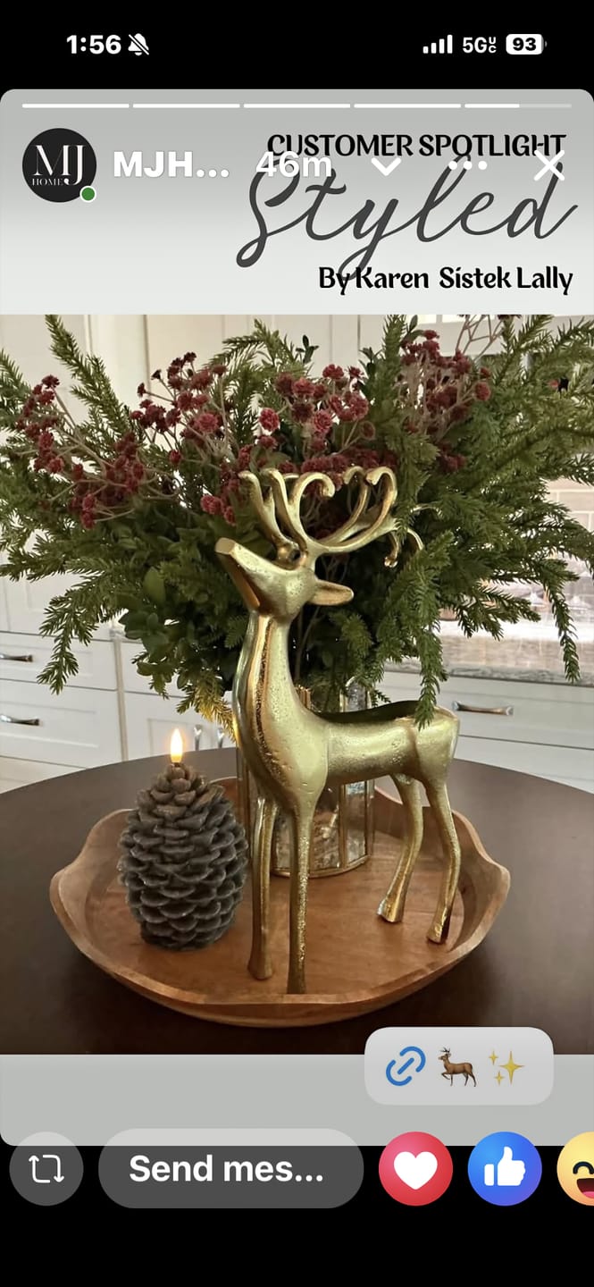 Customer photo review of Flameless LED Pinecone Candle