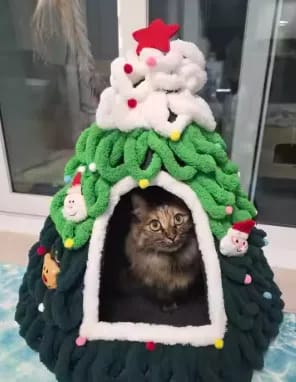 Customer photo review of WeihnachtsNest™ – Gemütliches Weihnachtsbett für Haustiere