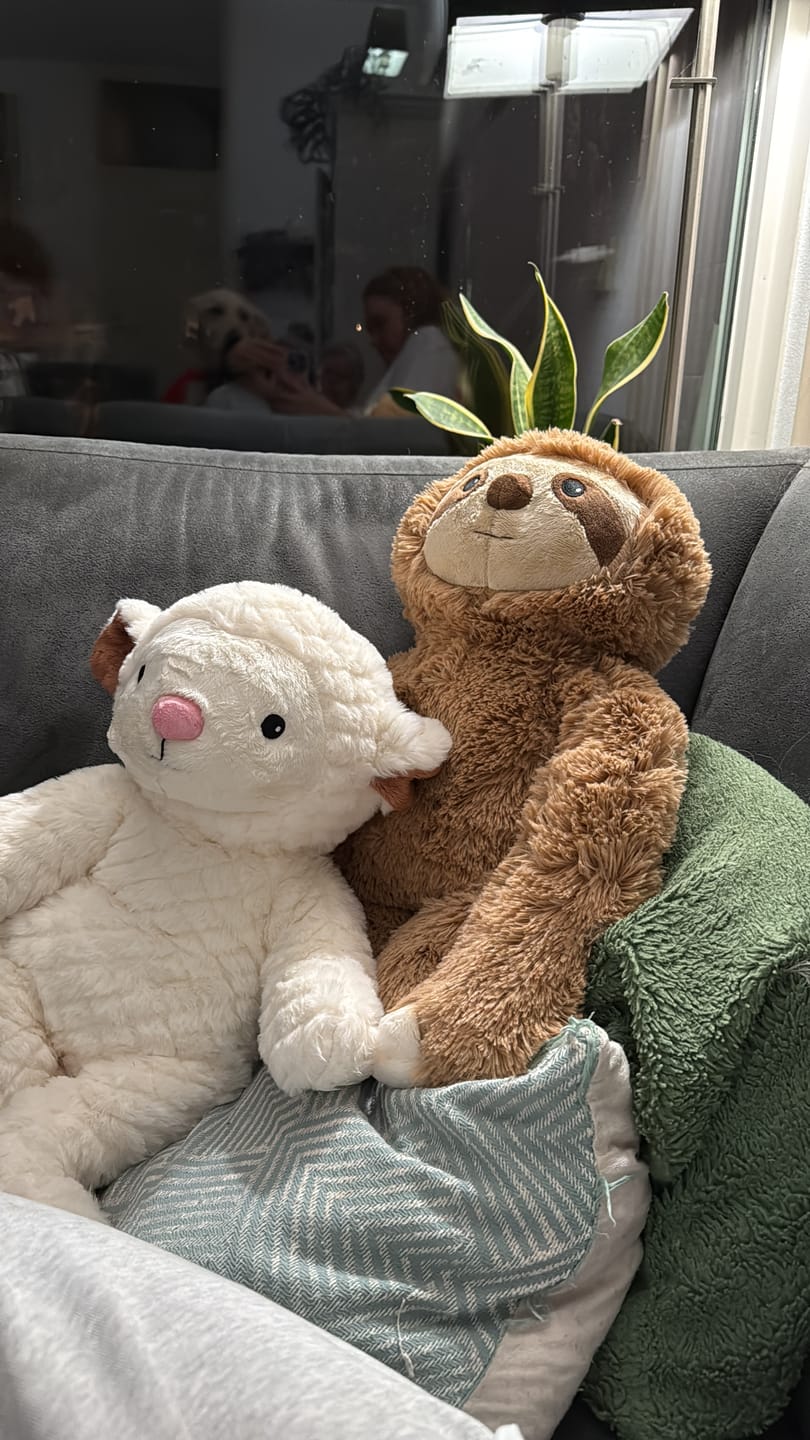 Customer photo review of Lotgenootje Luiaard 2,5kg