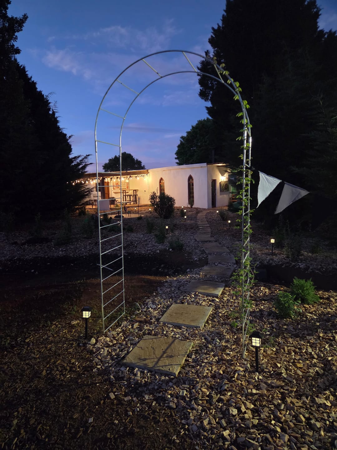 Customer photo review of Plug-In Festoon Bulb String Lights