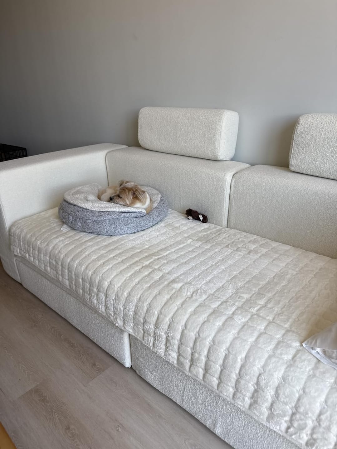 Customer photo review of pawandplush - Couch Cover
