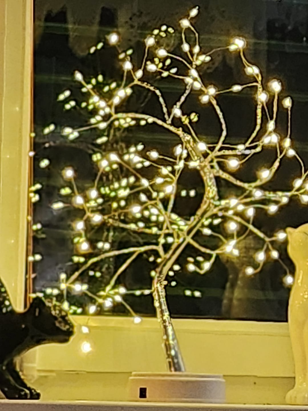 Customer photo review of Bäumlein® - 108 LED's