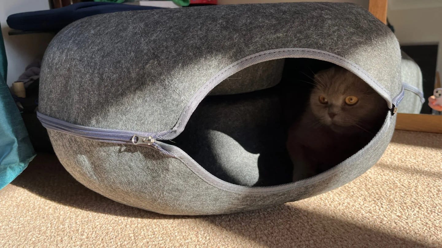 Customer photo review of The Cat Hideout Bed They'll Actually Use