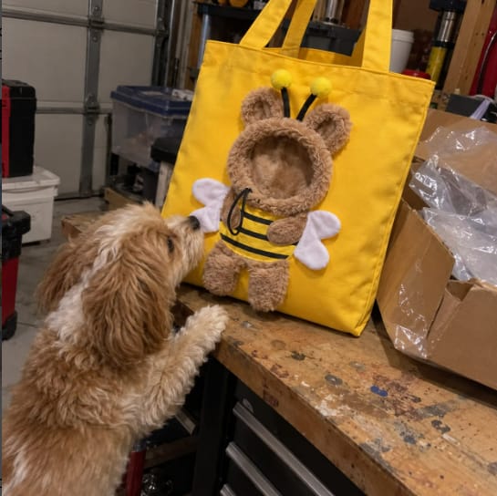Customer photo review of Bolsa de Paseo Confort