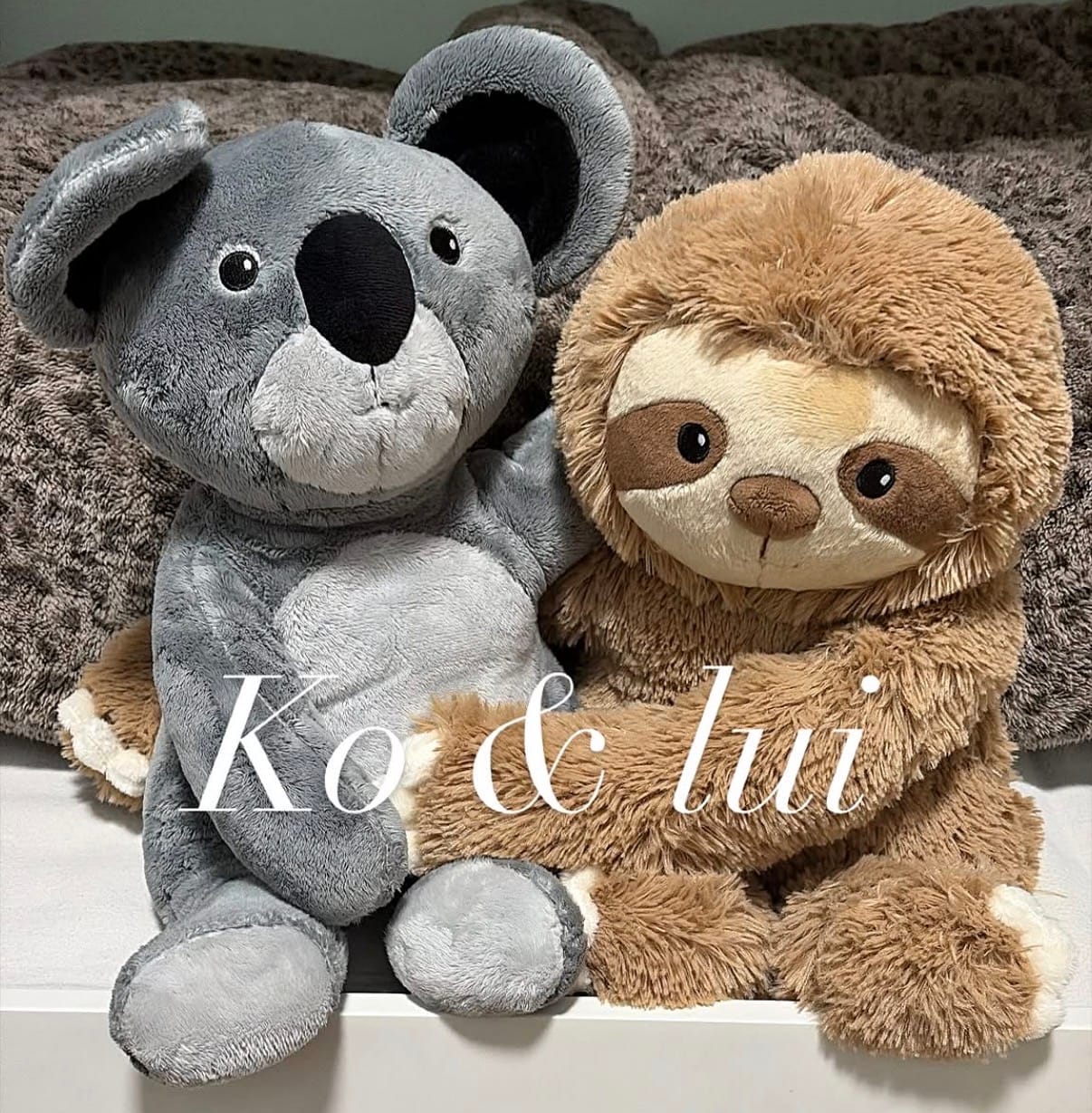 Customer photo review of Lotgenootje Luiaard 2,5kg