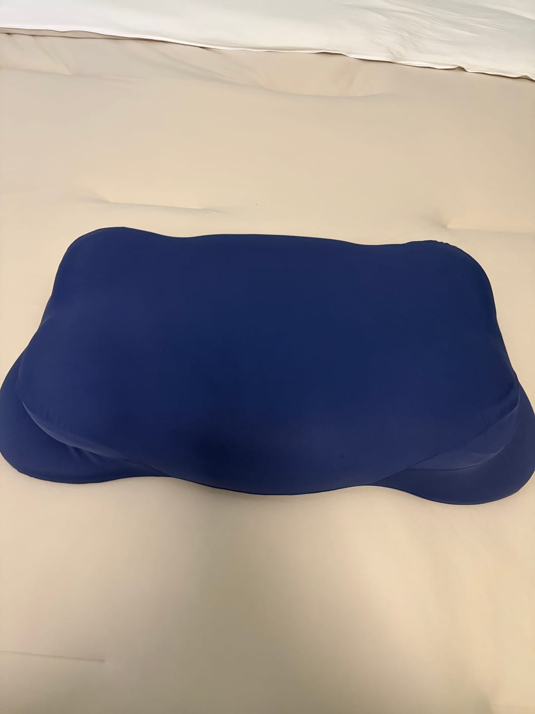 Customer photo review of CloudAlign Pillow