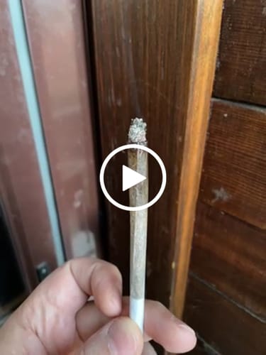 Customer video review of THC-A 40% Hash Dry Static