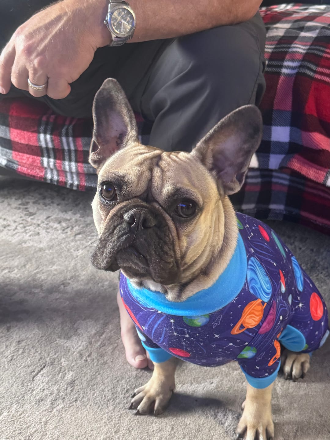 Customer photo review of Dog Pajama - Planets
