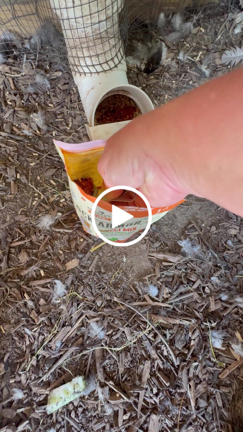 Customer video review of Daily Worm Defense + Gut Support
