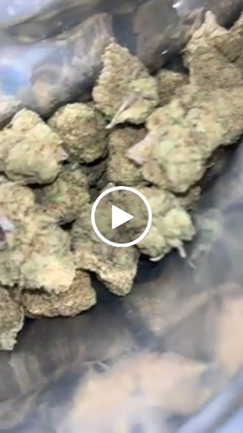 Customer video review of Strawberry Cough THCA Flower