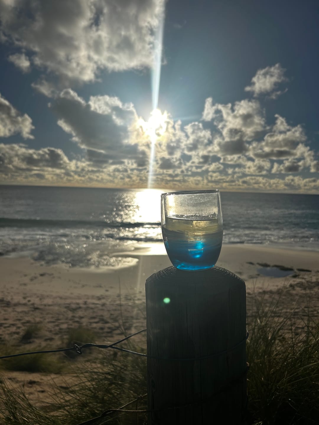 Customer photo review of Zero Sugar Sauvignon Blanc – Australian White Wine | 6 Pack