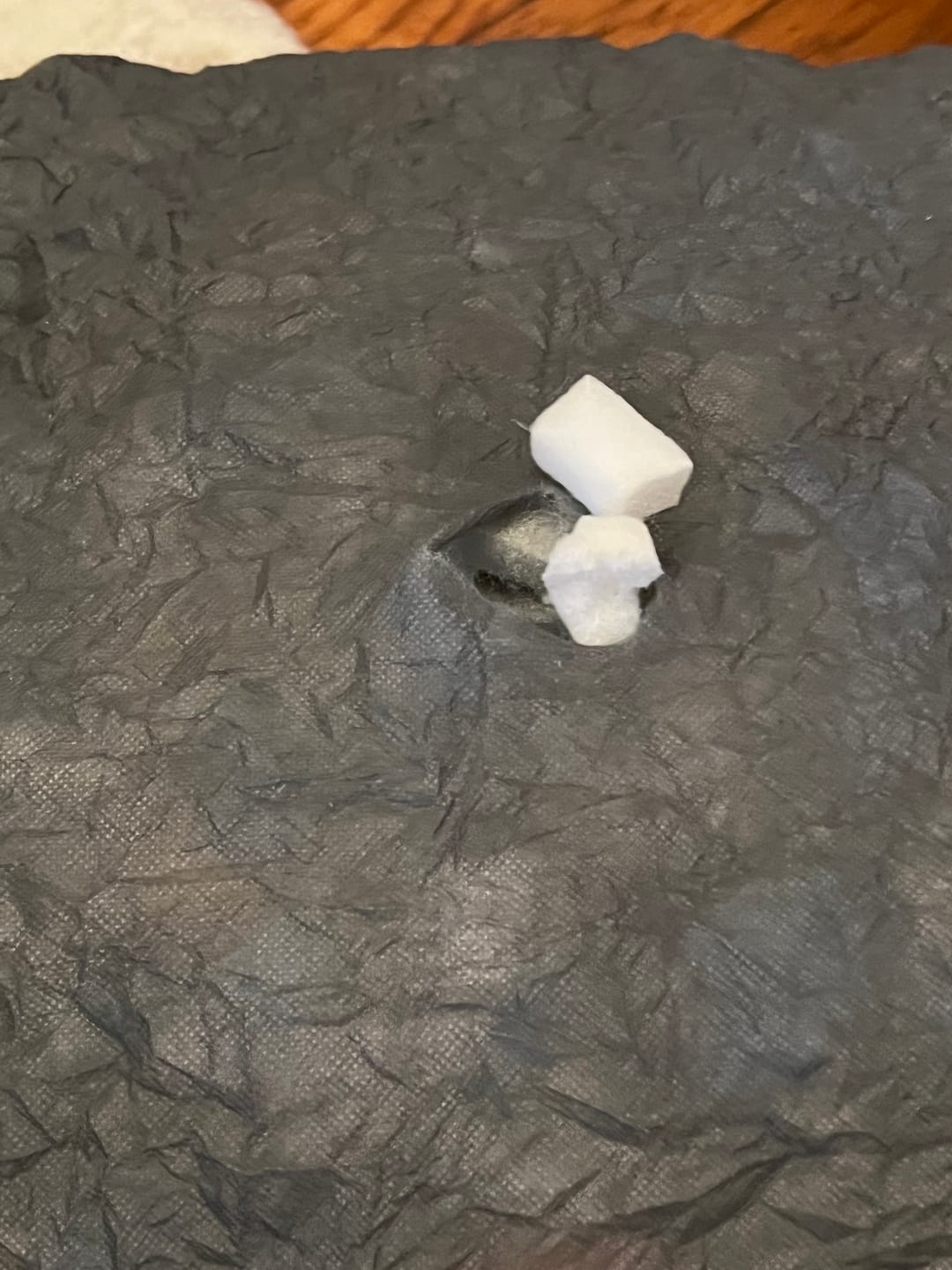 Customer photo review of Dog Dock V2 New & Improved ISO Fix