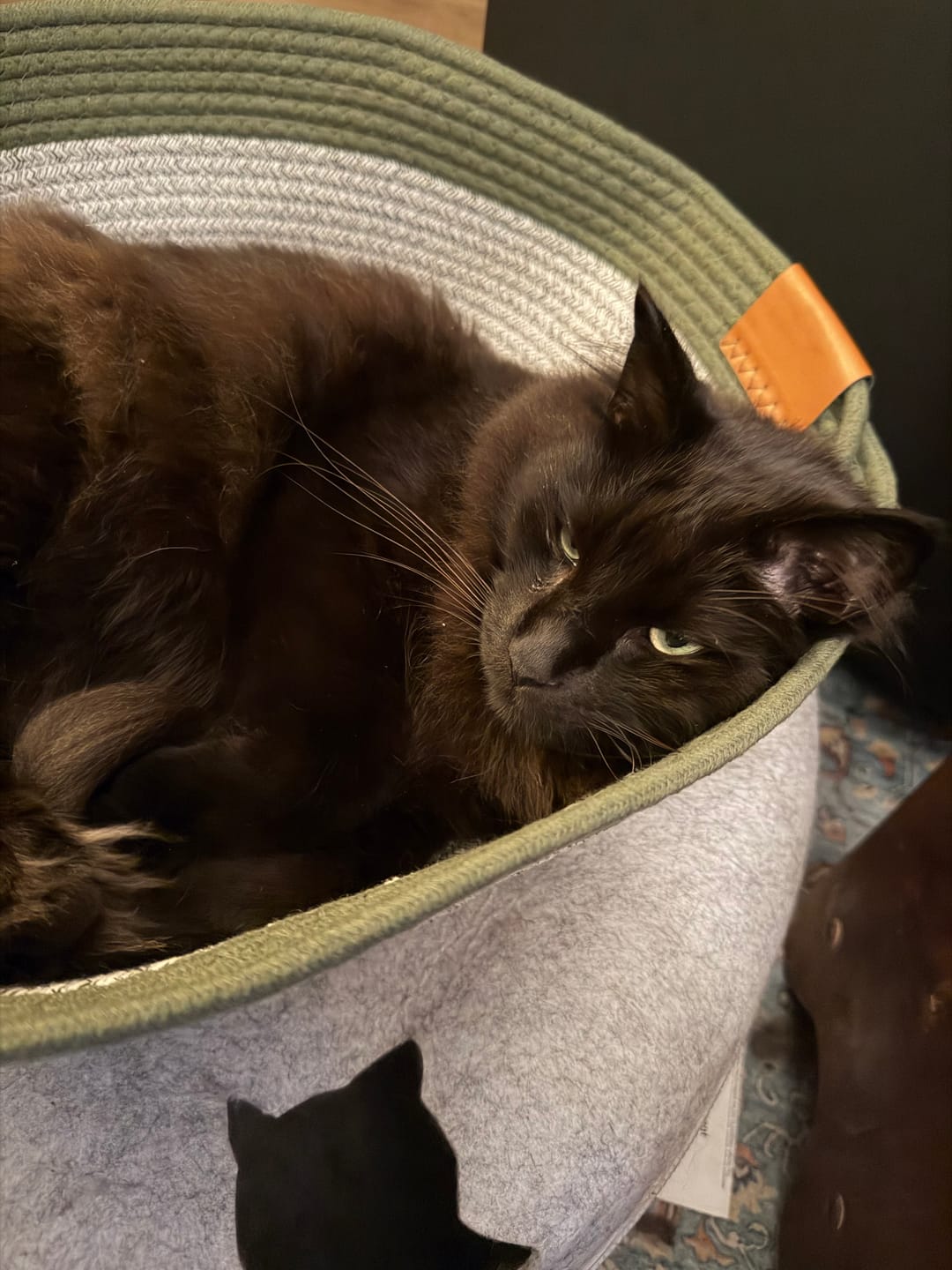 Customer photo review of Instinct Basket | Meet the first research-backed natural scratcher for indoor cats