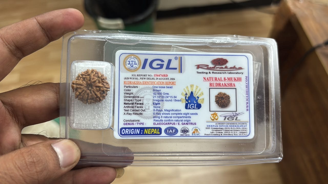Customer photo review of Nepal Origin 8 Mukhi Rudraksha – 100% Natural & Certified