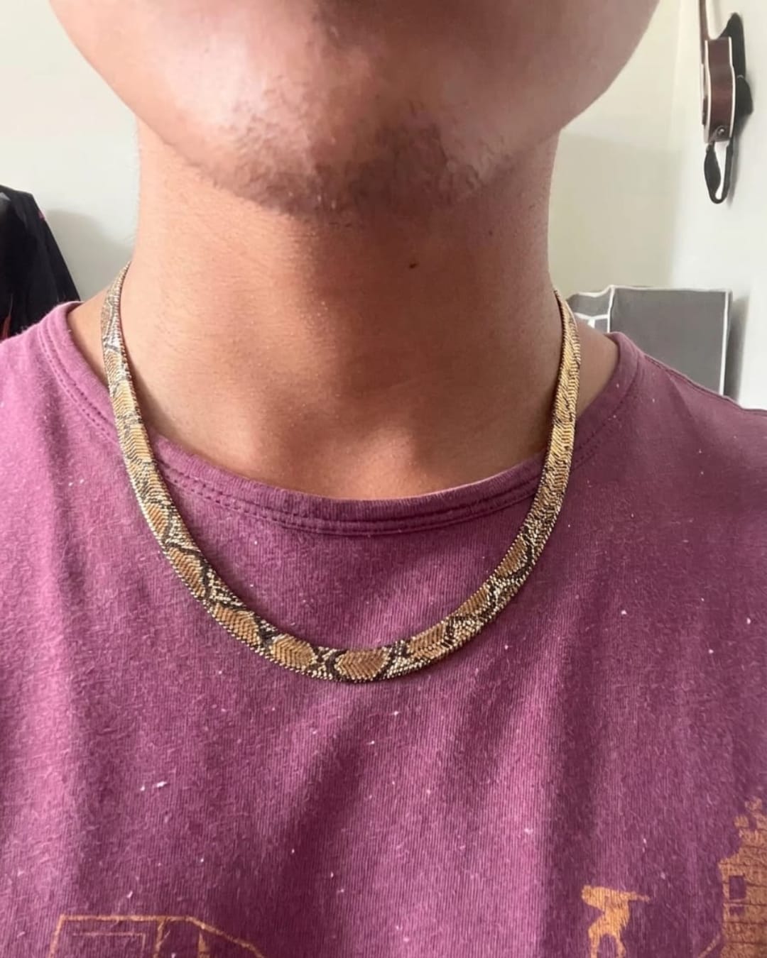 Customer photo review of VENYRA Serpent Necklace