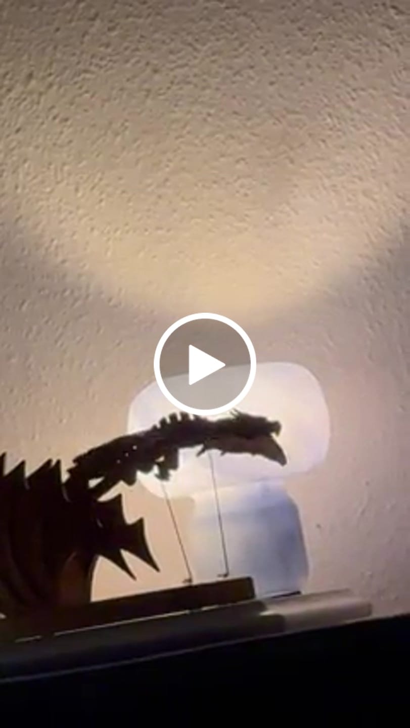 Customer video review of MarinerPoet Handcrafted Wooden Gothic Dragon Automaton