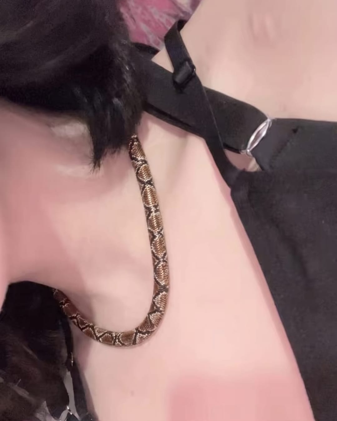 Customer photo review of VENYRA Serpent Necklace
