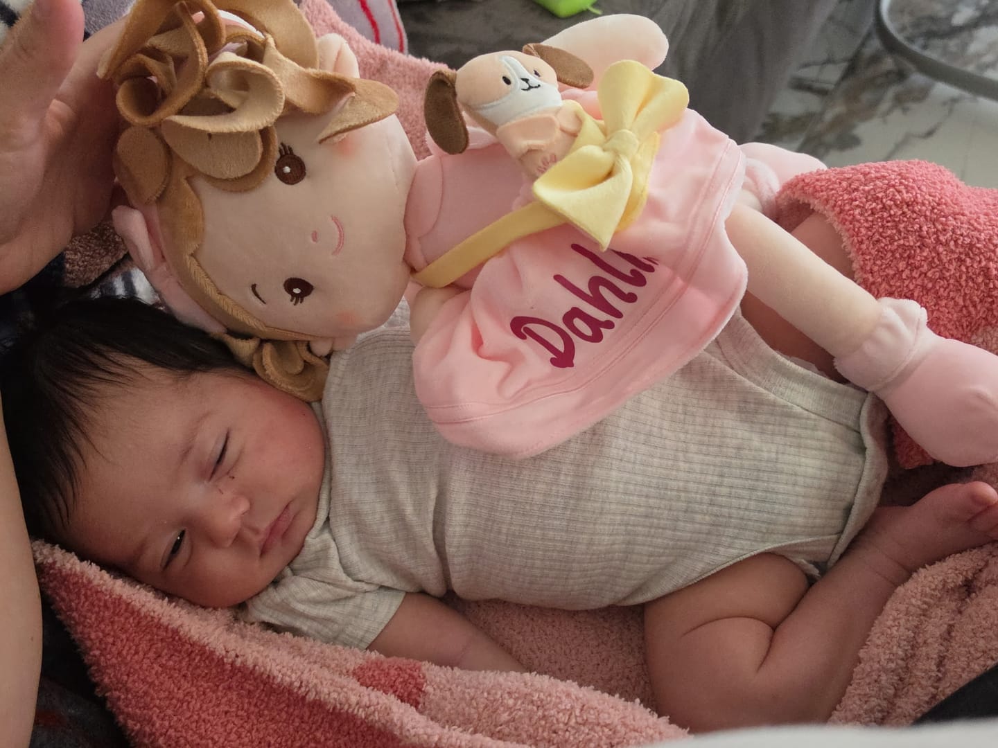 Customer photo review of Personalized Milly Girl & Her Pet