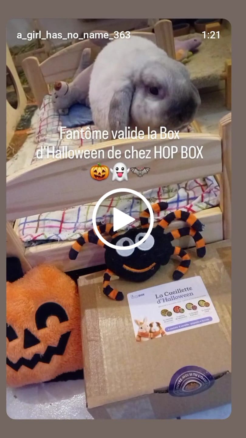 Customer video review of La Cueillette d'Halloween - Box d'octobre pour lapin & cochon d'Inde | Édition limitée