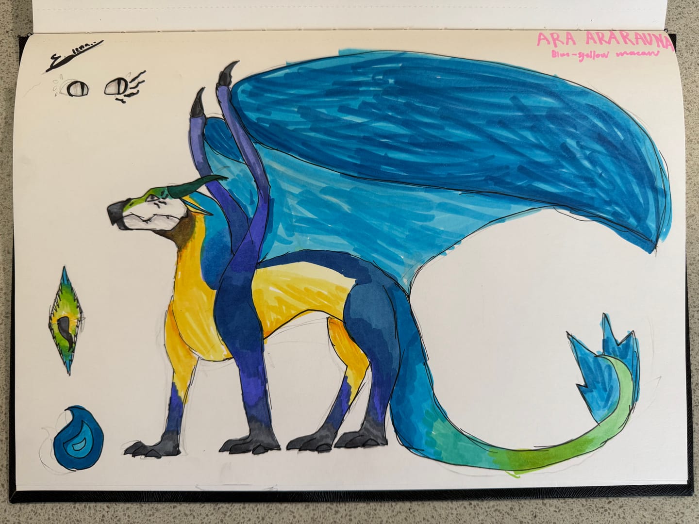 Customer photo review of Ohuhu Marker Pads Art Sketchbooks for Markers