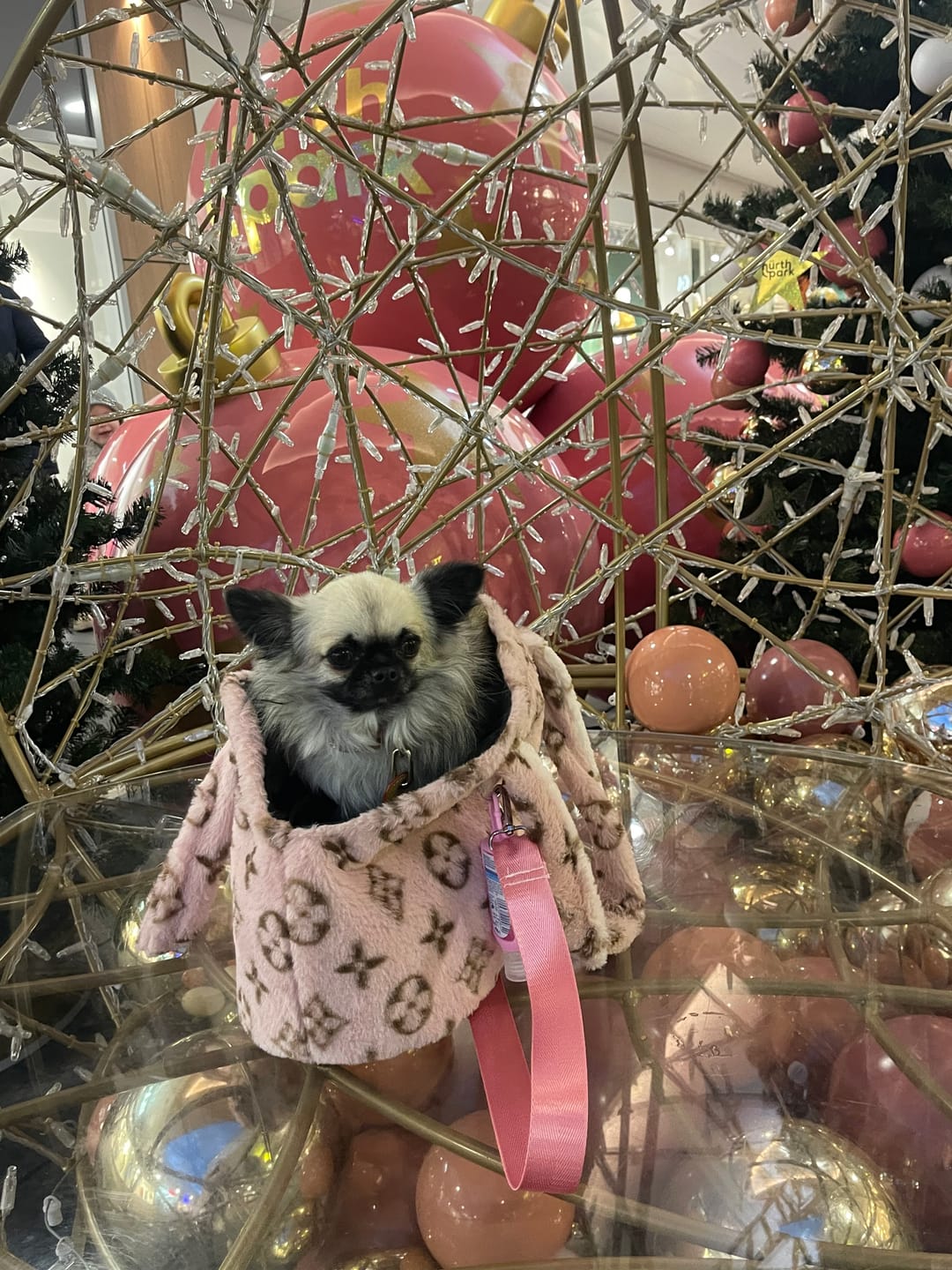 Customer photo review of Lulaina cozy carrier