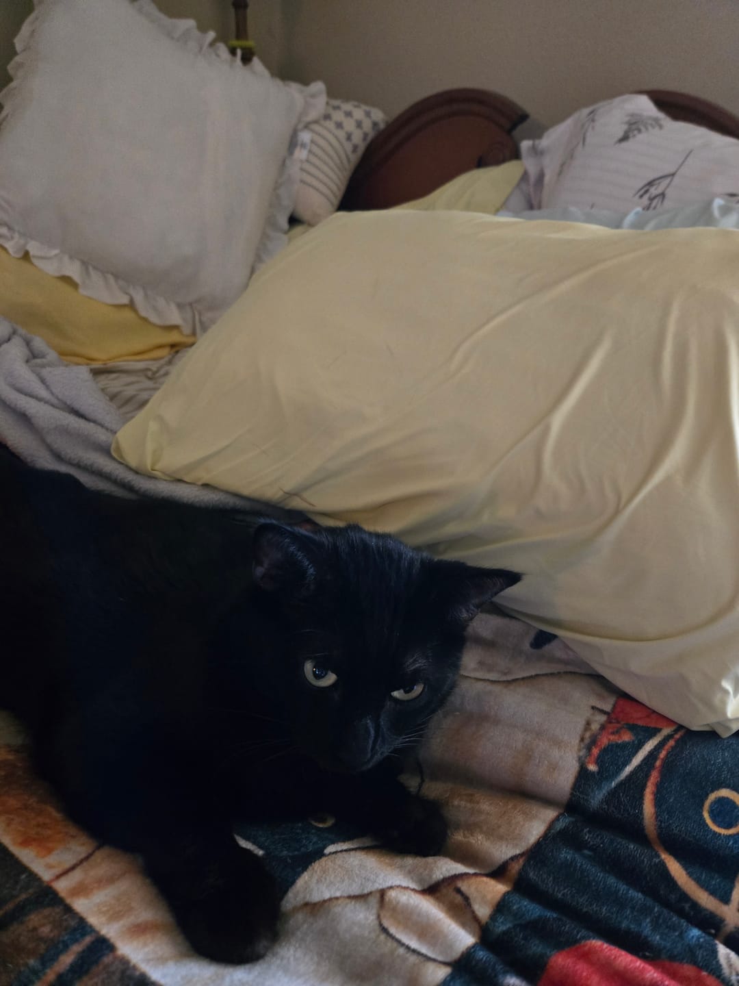 Customer photo review of Cooling Pillowcases (2-Pack)
