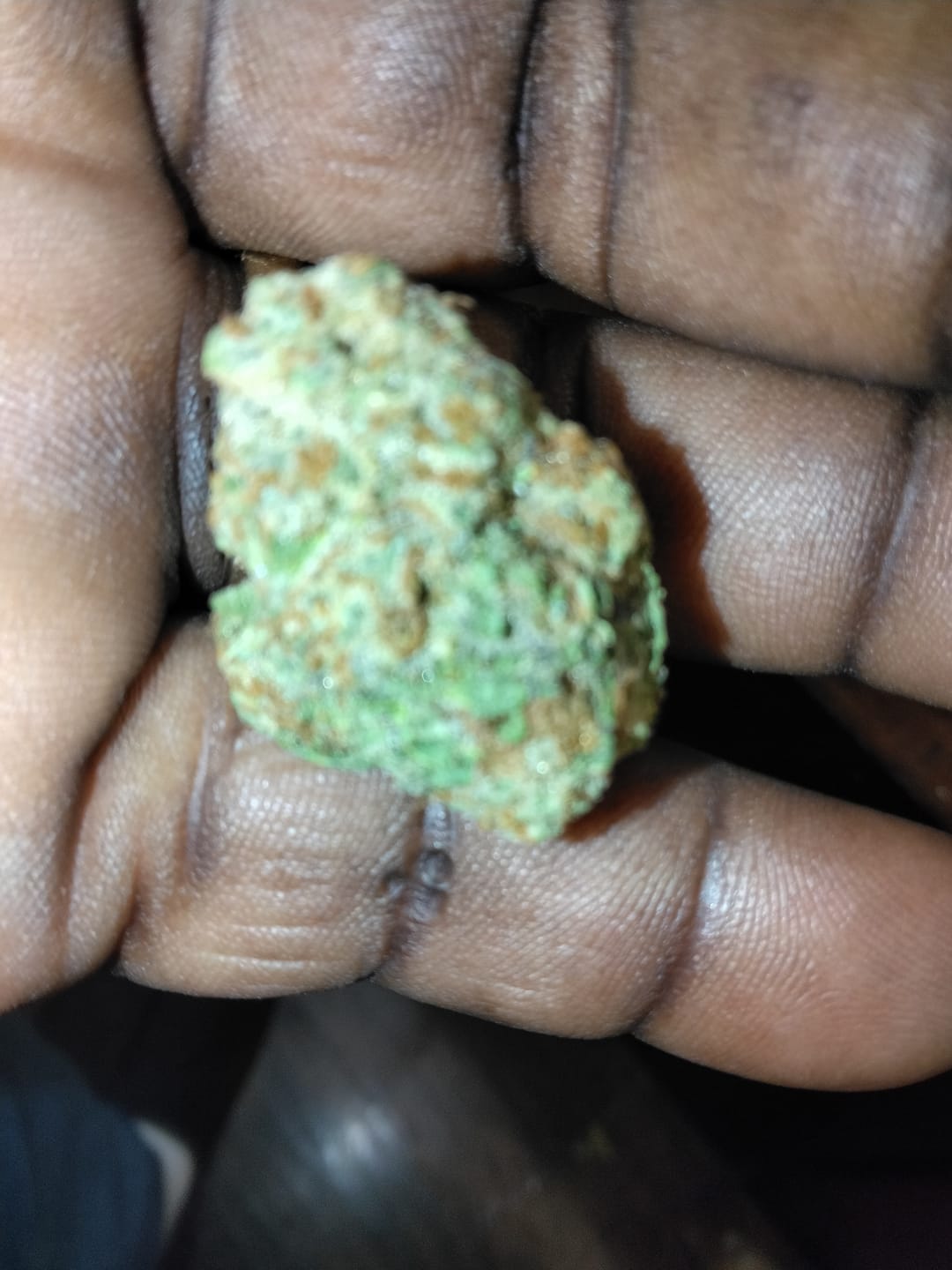 Customer photo review of Orange Dream THCA Flower