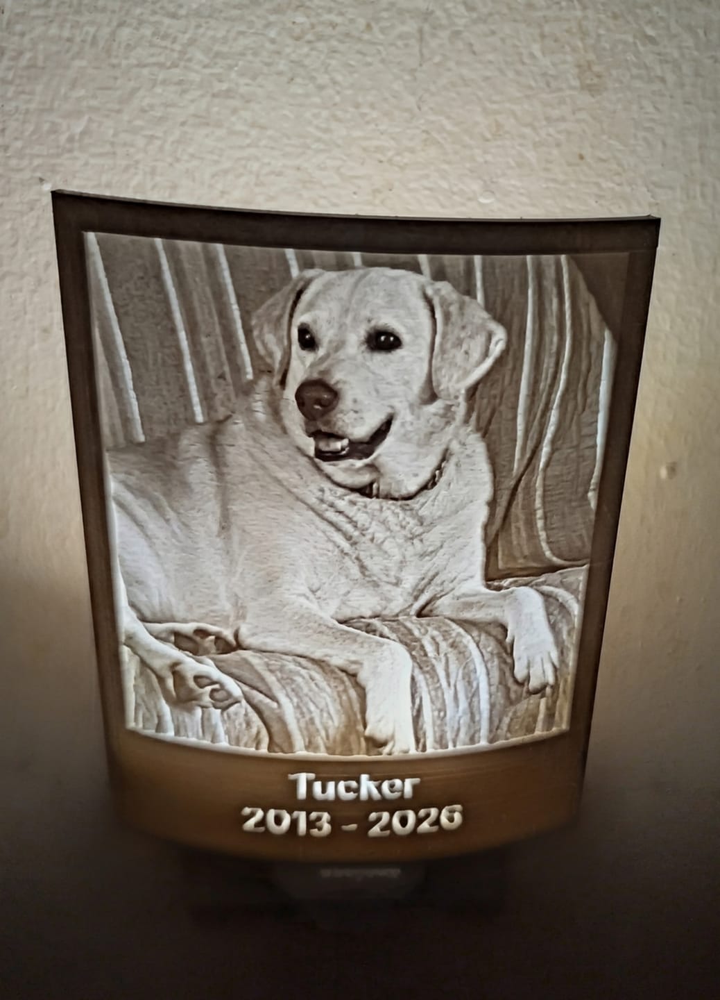 Customer photo review of Personalized Pet Memorial Night Light
