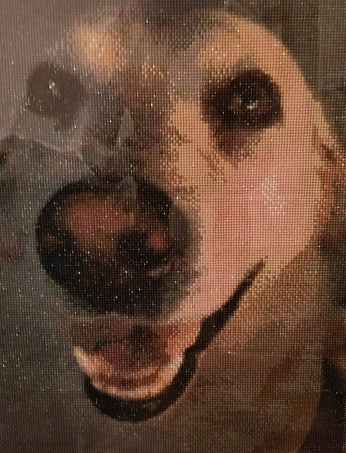 Customer photo review of Custom Diamond Painting