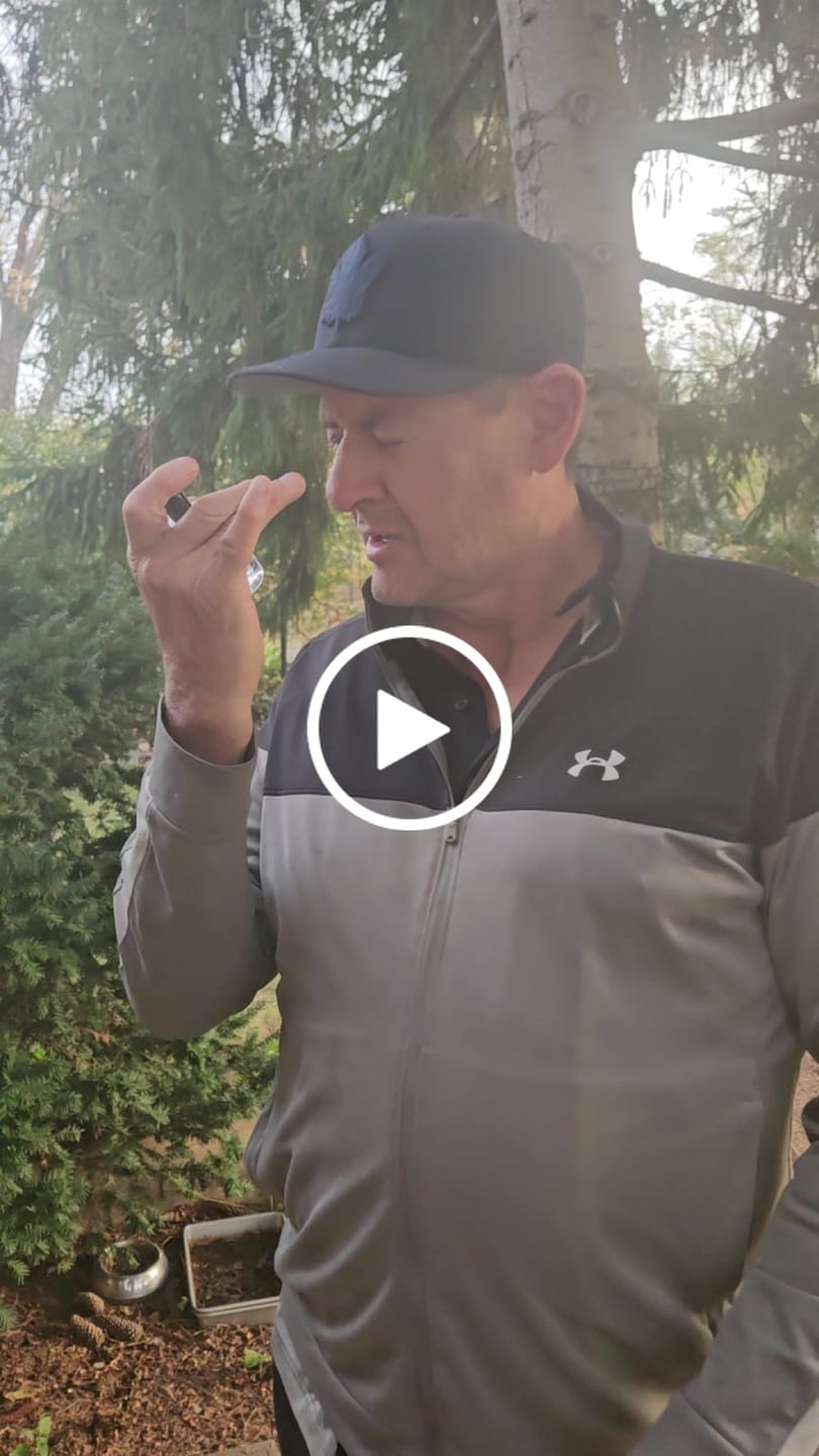Customer video review of Rouge Atlantic